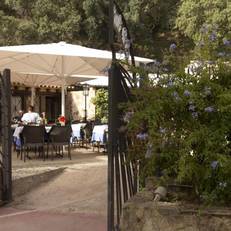 Camping Pola 