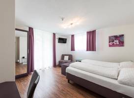 Hotel Engel 