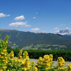 Stocknerhof 