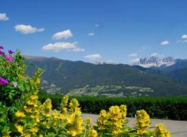 Stocknerhof 
