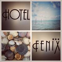 Hotel Fenix 