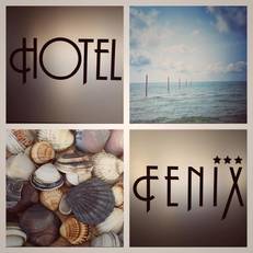 Hotel Fenix 