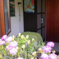Nettuno B&B 