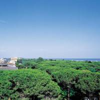 Hotel Berna 