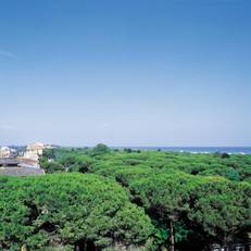 Hotel Berna 