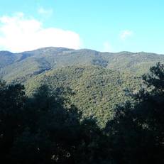 Els Vimets 