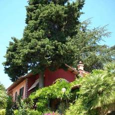 Le Capanne 