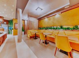 Hotel Lion 