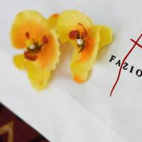 Fazio B&B 