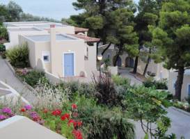 Alonissos Beach Bungalows And Suites Hotel