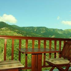 Archontiko Metsovou Luxury Boutique Hotel 