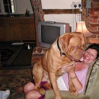 Oldlands Farmhouse Bed and Breakfast 