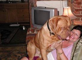 Oldlands Farmhouse Bed and Breakfast 