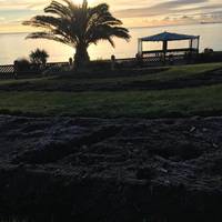 The Rosefield Guest House