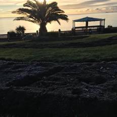 The Rosefield Guest House