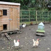 Larkrise Cottage Bed And Breakfast 
