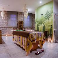 Dolina Charlotty Resort & Spa 