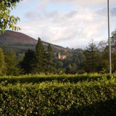 Orwin House Bed & Breakfast 