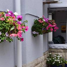 Swanage Haven Boutique B&B 