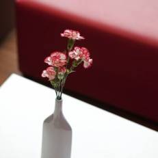 Hotel Ibis Kielce Centrum 