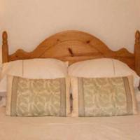 Dolly Waggon Guest House 