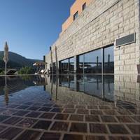 Douro River Hotel & Spa 