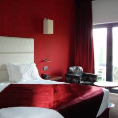 Douro River Hotel & Spa 