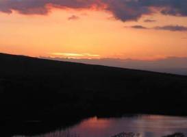 Common Barn Farm B & B 