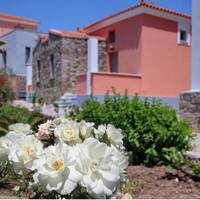Theofilos Hotel Petra 