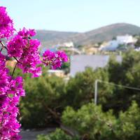 Axilleion Guest House 