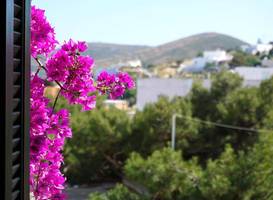 Axilleion Guest House 