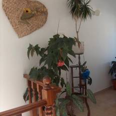 Guesthouse A Lareira 