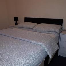 Shamrock Guest House 