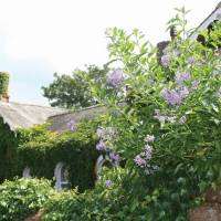 The Brantwood Hotel 