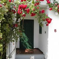 Booking Apartments 