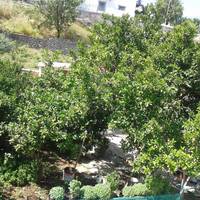Pension Panagiota 