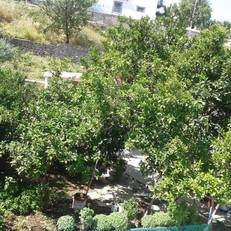 Pension Panagiota 