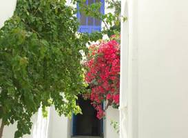 Villa Kamari Star 