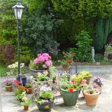 White Rose Lodge 
