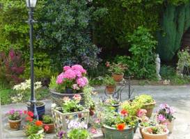 White Rose Lodge 