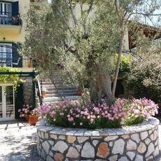Vasiliki Studios 