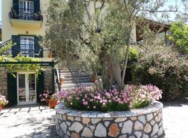 Vasiliki Studios 