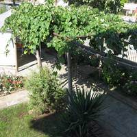 Rosi Guest House 