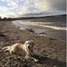 Autumn Winds B&B 