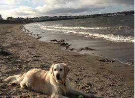 Autumn Winds B&B 