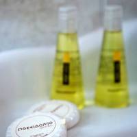 Poseidonio Hotel 