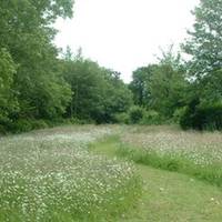 Hazelwood House 