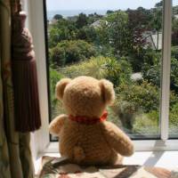 Hawthorne Dene 