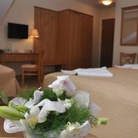 Hotel Alpejski 