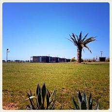 Zmar Eco Campo 